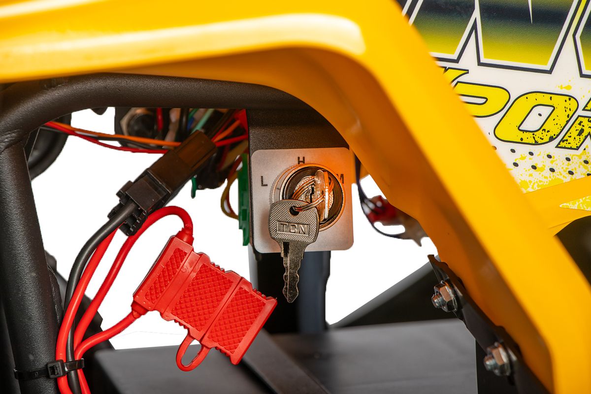 Nerino 1000W ATV med Keyless og BTF-dekk